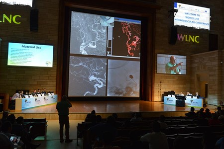WLNC 2013 Istanbul