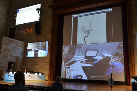 WLNC 2013 Istanbul