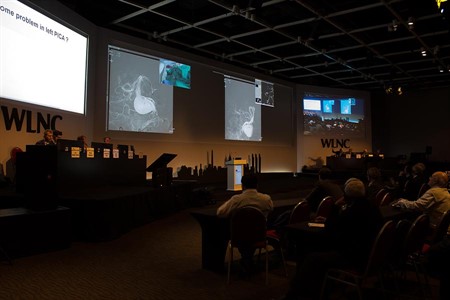 WLNC 2014 Buenos Aires