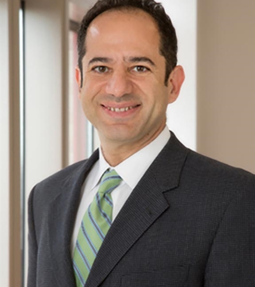 ADEL MALEK