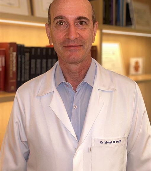 MICHEL FRUDIT